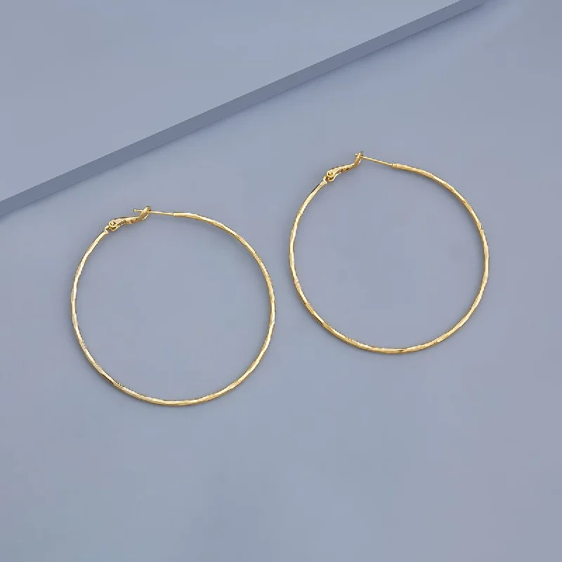 women chic hoop earrings -Trendy Earring 168923